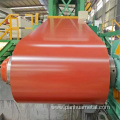 PPGI/PPGL/Construction Galvanized Steel Rolls Coil